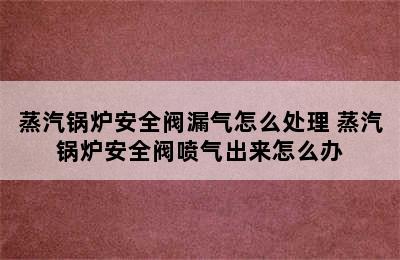 蒸汽锅炉安全阀漏气怎么处理 蒸汽锅炉安全阀喷气出来怎么办